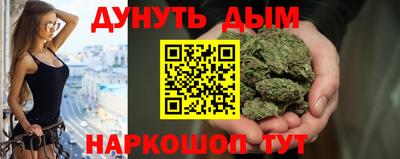 шишки Дубна