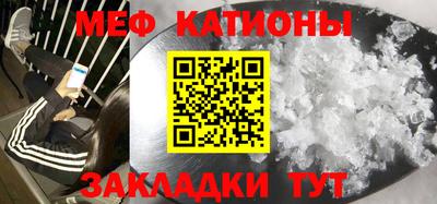шишки Дубна