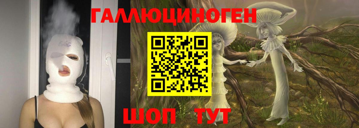 Назарово  Галлюциногенные грибы Cubensis  Вход с VPN 